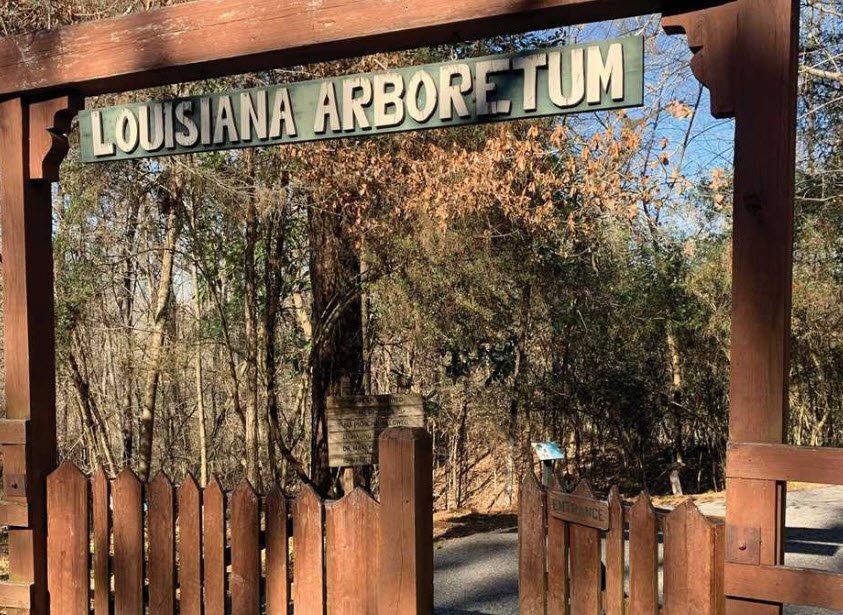 Louisiana State Arboretum, United States